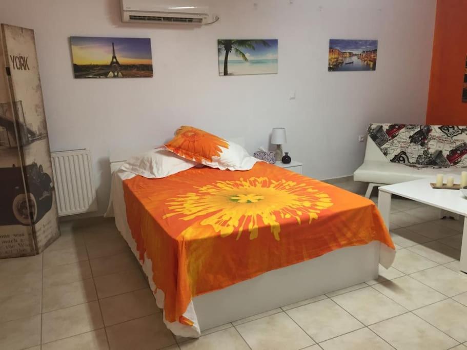 Studio Lucia Argostoli  Exteriér fotografie
